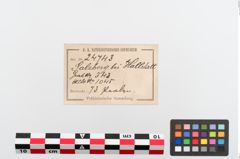 Etiketten zu Perlenkette (NHMW-PRAE-024743)